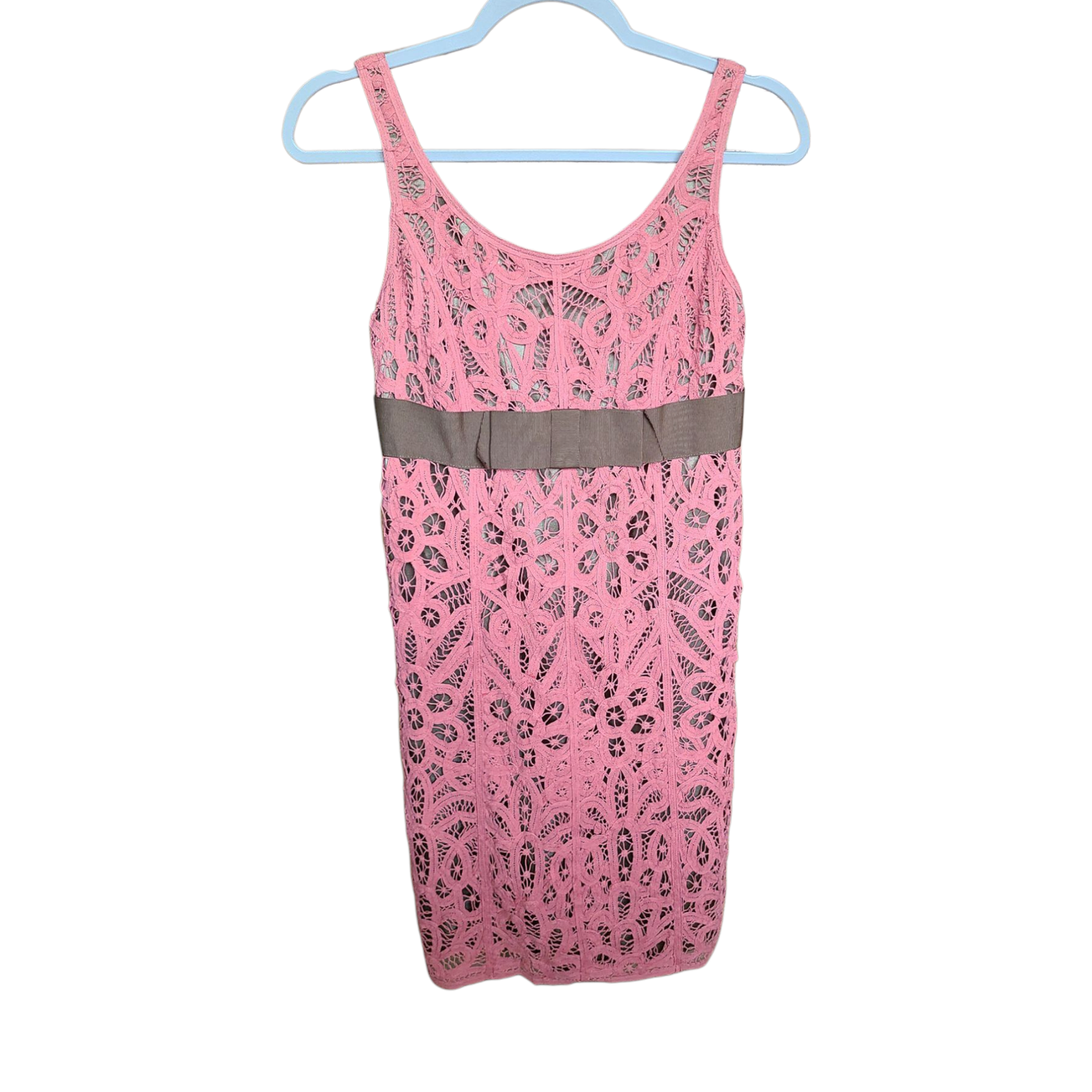 Betsey Johnson Vintage Pink/Brown Floral Lace Overlay Empire Dress Size 2 Nwt